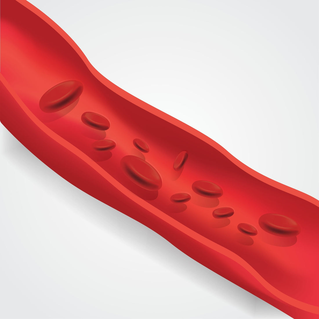 Why Cholesterol Matters: More Than Just a Number